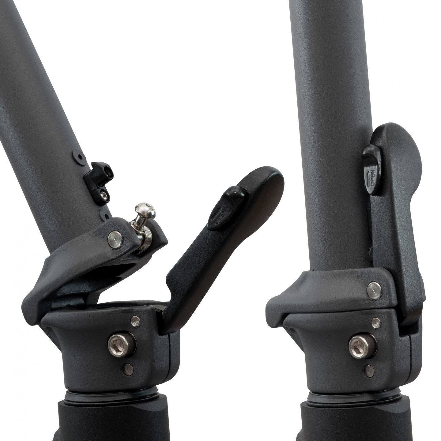 OLSSON FRESH NEON 10