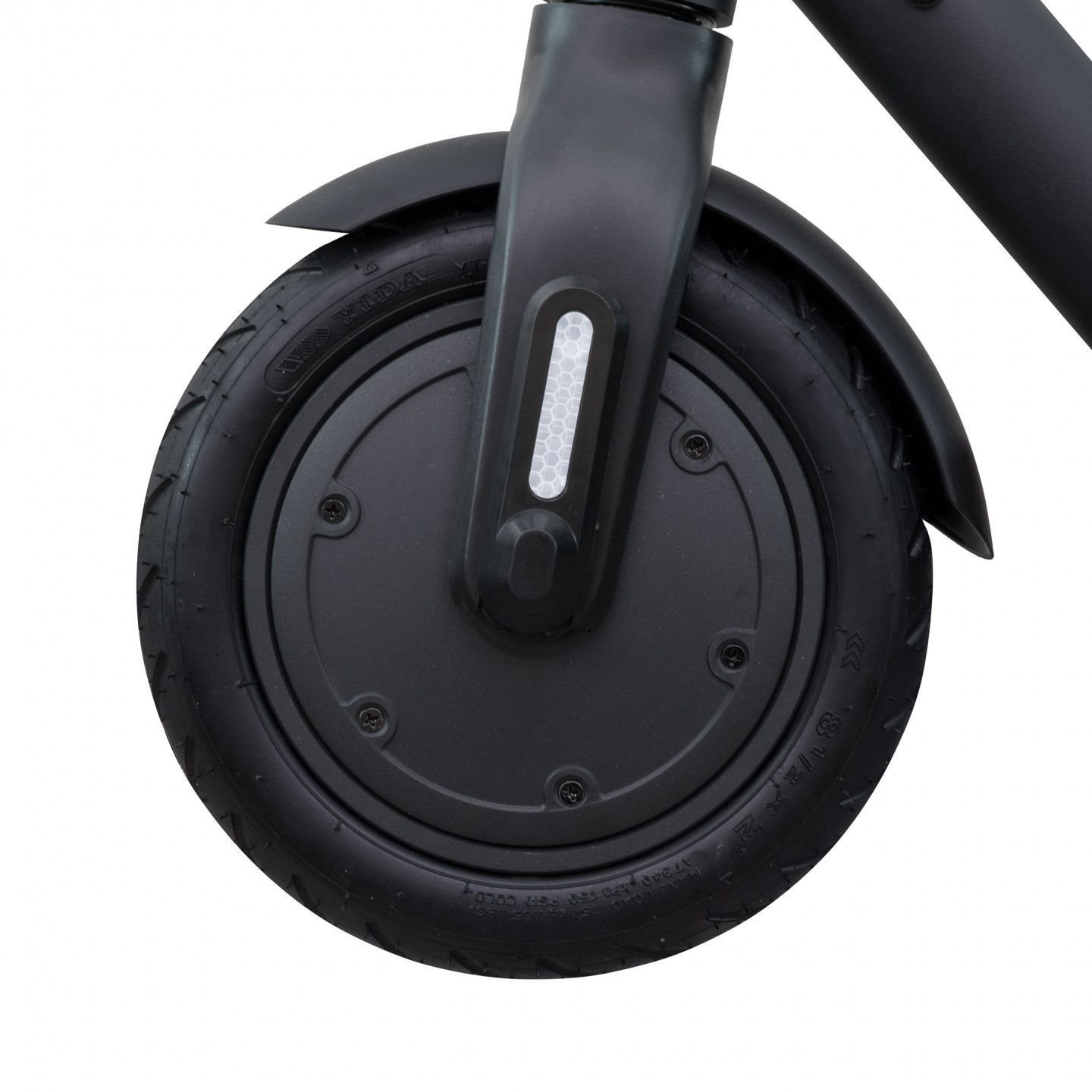 OLSSON FRESH NEON 11